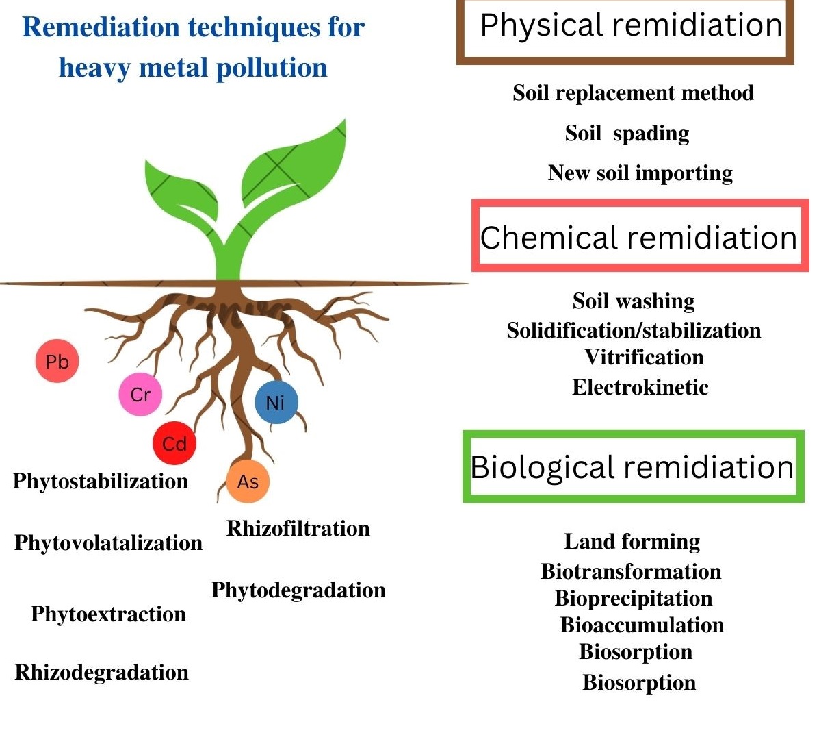 HEAVY METAL POLLUTION IS A THREAT TO SOIL HEALTH