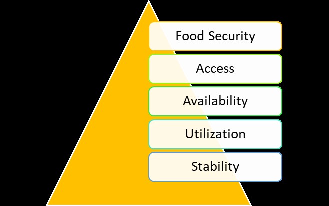 HOW AGRICULTURAL POLICIES AFFECT GLOBAL FOOD STABILITY: THE ECONOMICS OF FOOD SECURITY