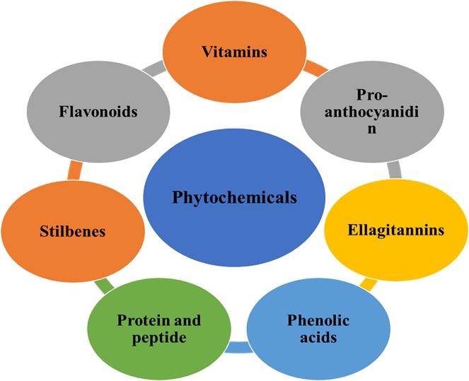 THE ADVANTAGES OF BIOACTIVE PHYTOCHEMICALS IN INDIAN FOOD FOR HEALTH AND THEIR ROLE IN DISEASE PREVENTION