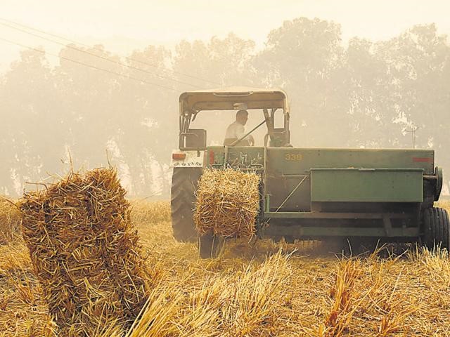 TURNING WASTE INTO WEALTH: SUSTAINABLE SOLUTIONS FOR CROP RESIDUE MANAGEMENT IN INDIA